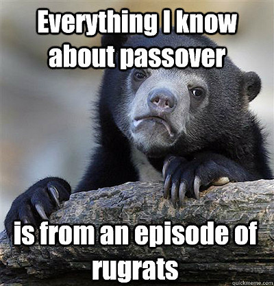 Passover meme bear rugrats